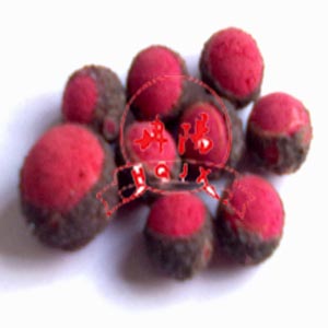 �z���ھ���ϴ�b��